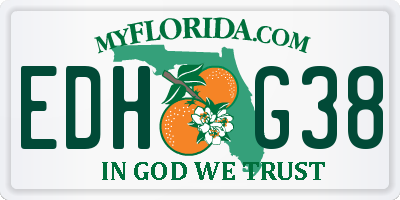 FL license plate EDHG38
