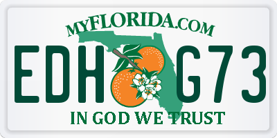 FL license plate EDHG73