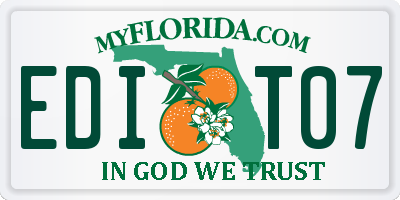 FL license plate EDIT07