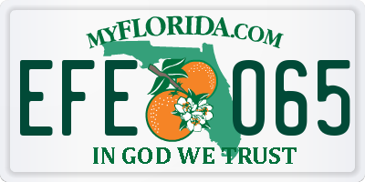 FL license plate EFEO65