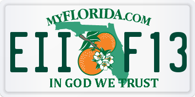 FL license plate EIIF13