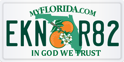 FL license plate EKNR82