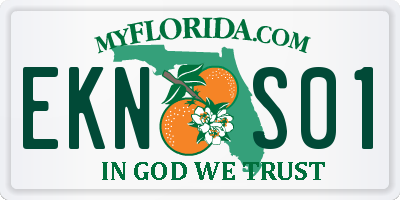 FL license plate EKNS01