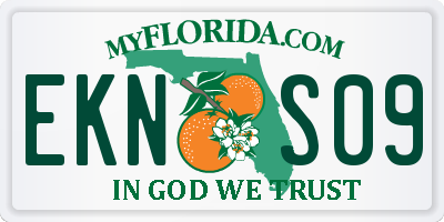 FL license plate EKNS09