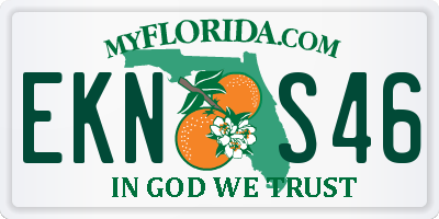 FL license plate EKNS46