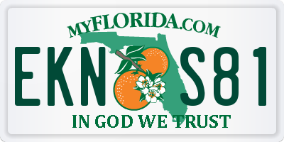 FL license plate EKNS81