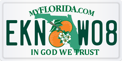 FL license plate EKNW08