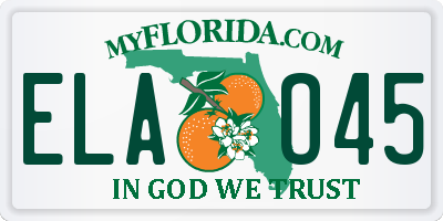 FL license plate ELAO45