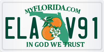 FL license plate ELAV91