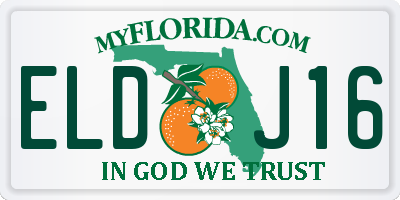 FL license plate ELDJ16