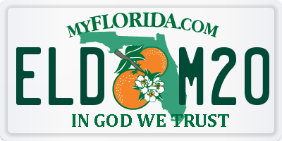 FL license plate ELDM20