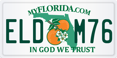 FL license plate ELDM76