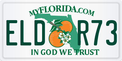 FL license plate ELDR73