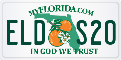 FL license plate ELDS20
