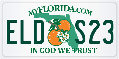 FL license plate ELDS23