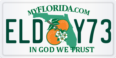 FL license plate ELDY73