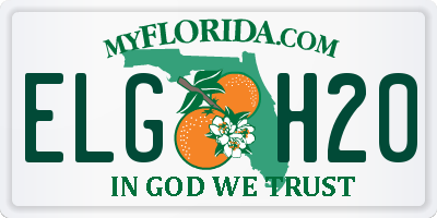 FL license plate ELGH20