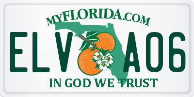 FL license plate ELVA06
