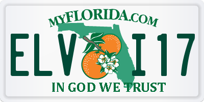 FL license plate ELVI17