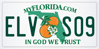 FL license plate ELVS09