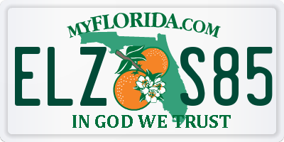FL license plate ELZS85