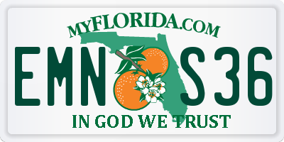 FL license plate EMNS36