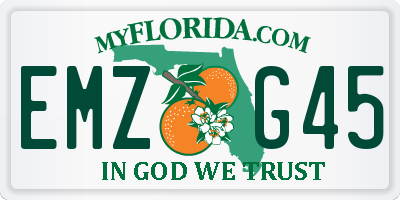 FL license plate EMZG45
