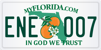 FL license plate ENEO07