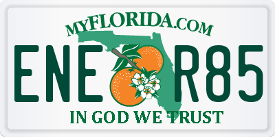 FL license plate ENER85