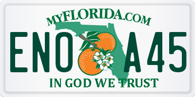 FL license plate ENOA45