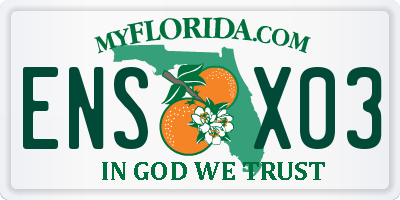 FL license plate ENSX03