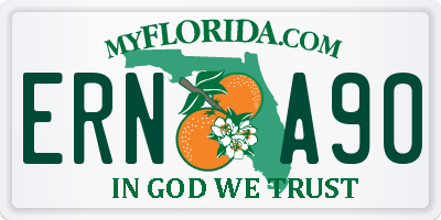 FL license plate ERNA90