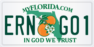 FL license plate ERNG01