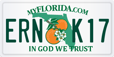 FL license plate ERNK17