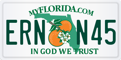 FL license plate ERNN45
