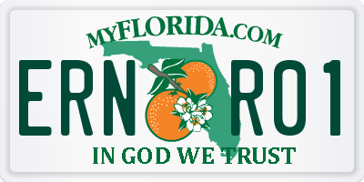 FL license plate ERNR01