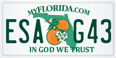 FL license plate ESAG43