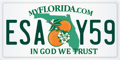 FL license plate ESAY59