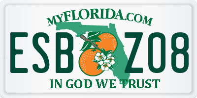 FL license plate ESBZ08