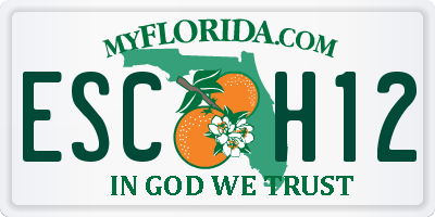 FL license plate ESCH12