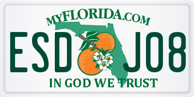 FL license plate ESDJ08