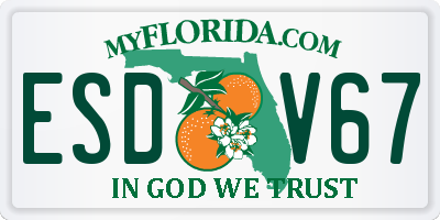 FL license plate ESDV67