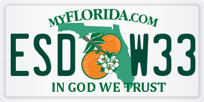 FL license plate ESDW33