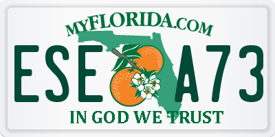 FL license plate ESEA73