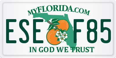 FL license plate ESEF85