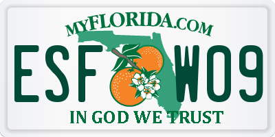 FL license plate ESFW09