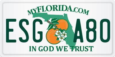 FL license plate ESGA80
