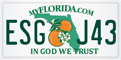 FL license plate ESGJ43