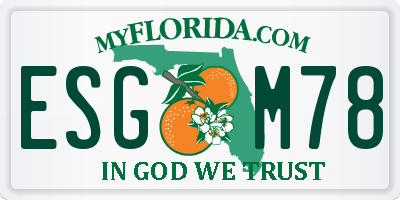 FL license plate ESGM78