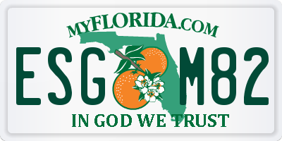 FL license plate ESGM82